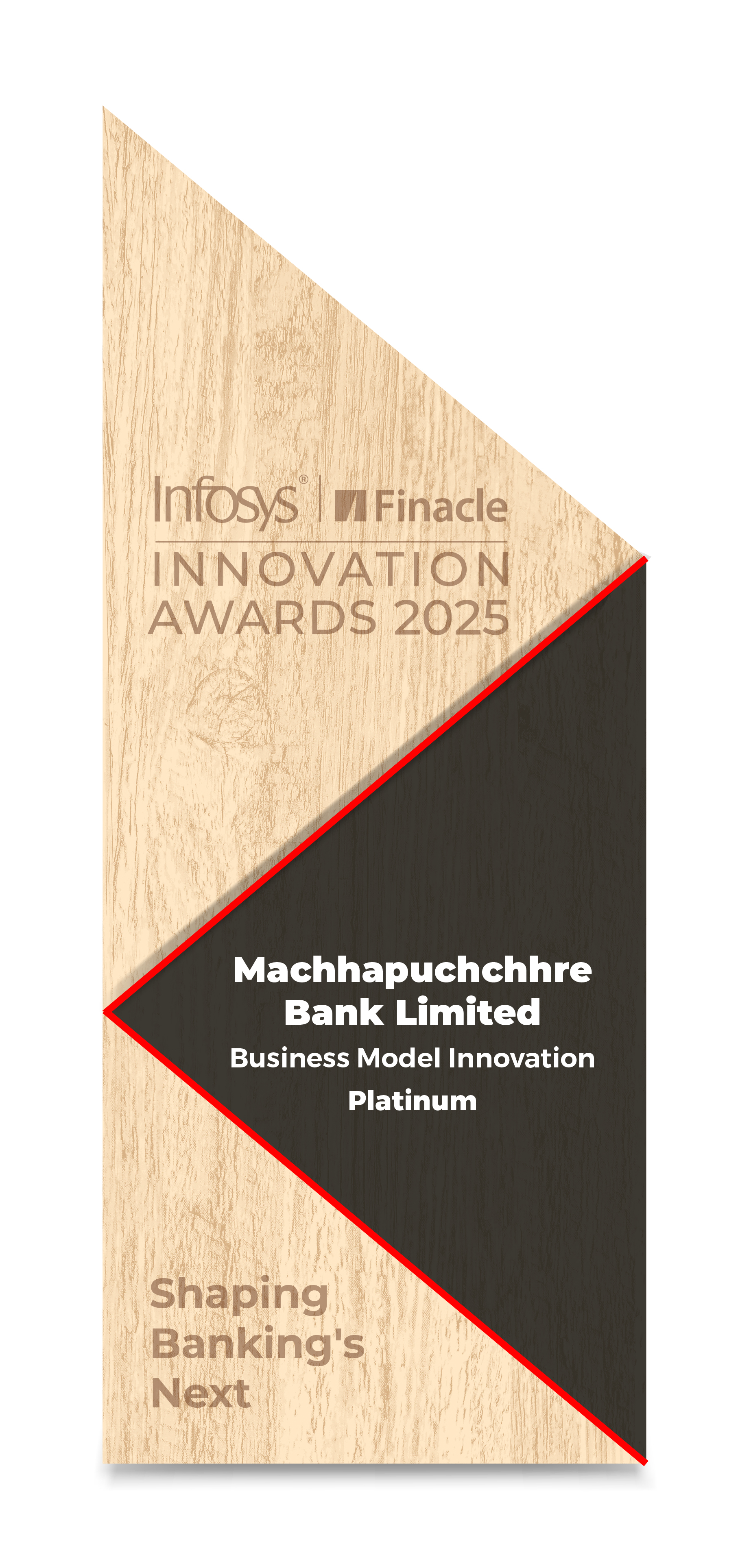 Infosys Finacle Innovation Award 2025